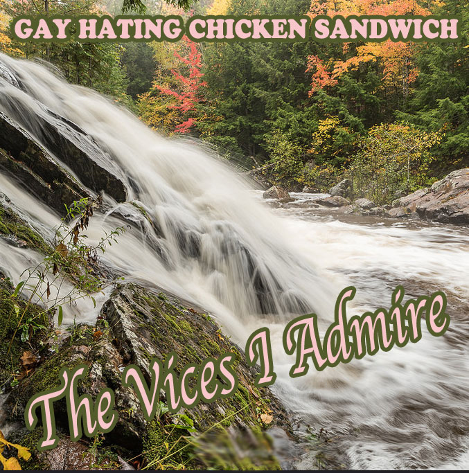 The Vices I Admire by Gay Hating Chicken Sandwich