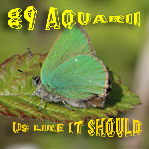 Us Like It Should by 89 Aquarii