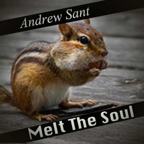 Melt The Soul by Andrew Sant