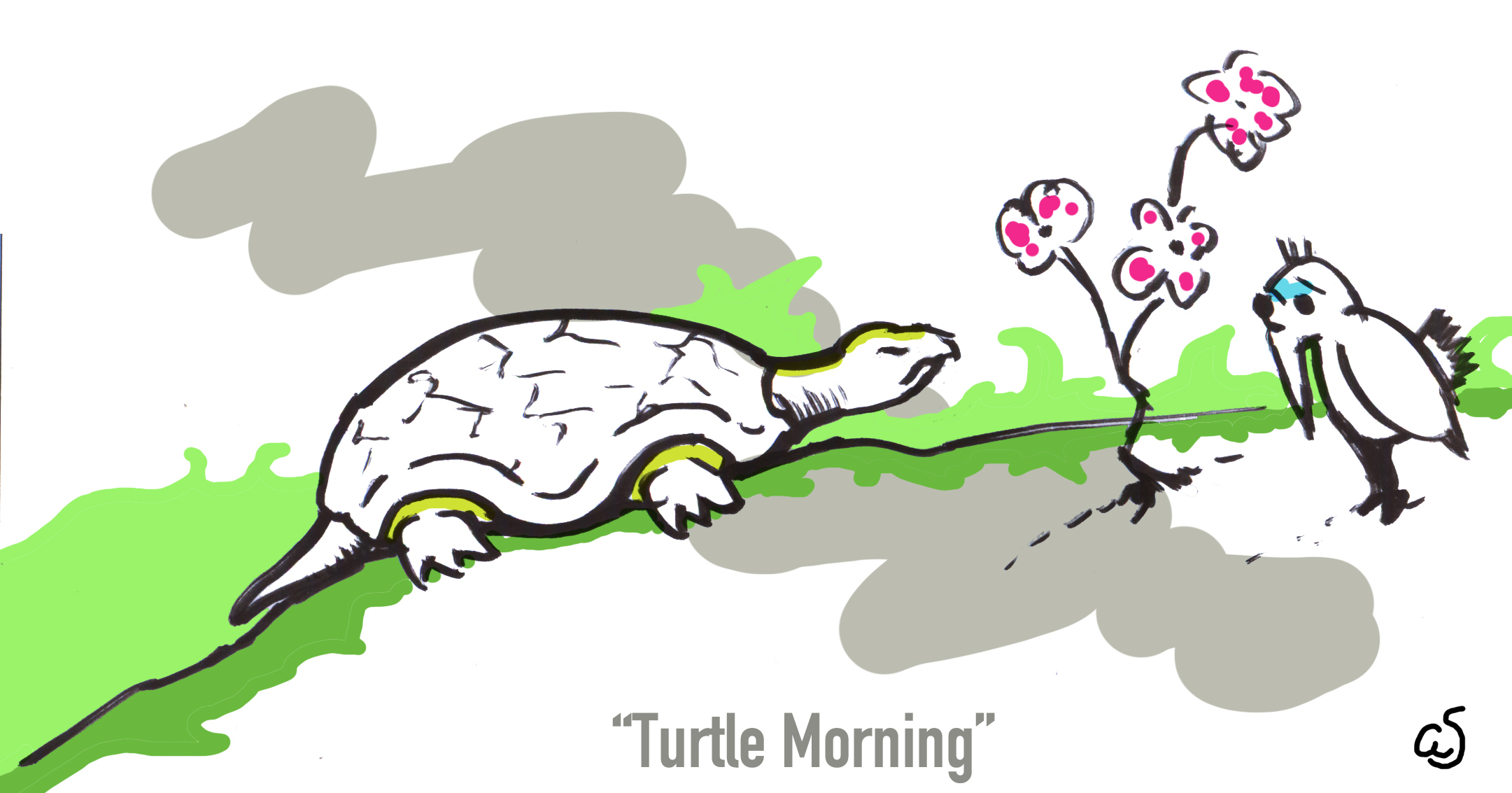 Turtle Morning